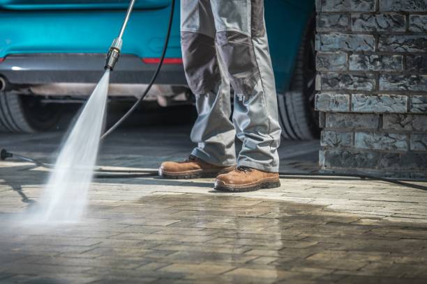 Best Soft Washing  in Seville, FL