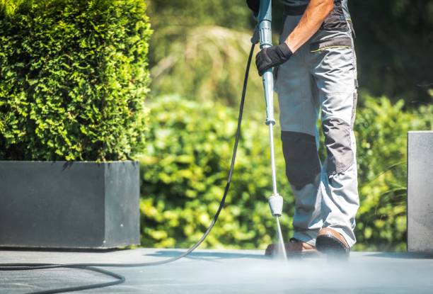 Best Driveway Pressure Washing  in Seville, FL