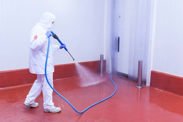 Best Post-Construction Pressure Washing  in Seville, FL