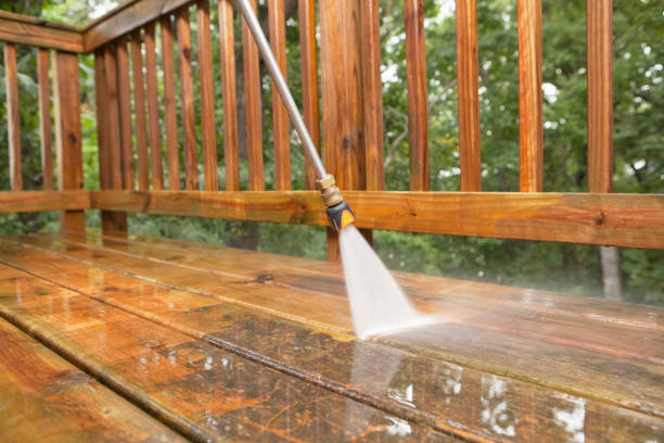 Best Warehouse Cleaning  in Seville, FL