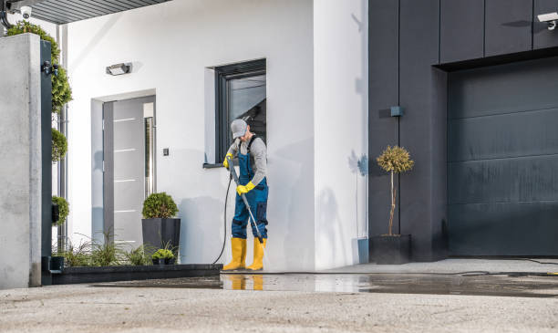 Best Solar Panel Cleaning  in Seville, FL